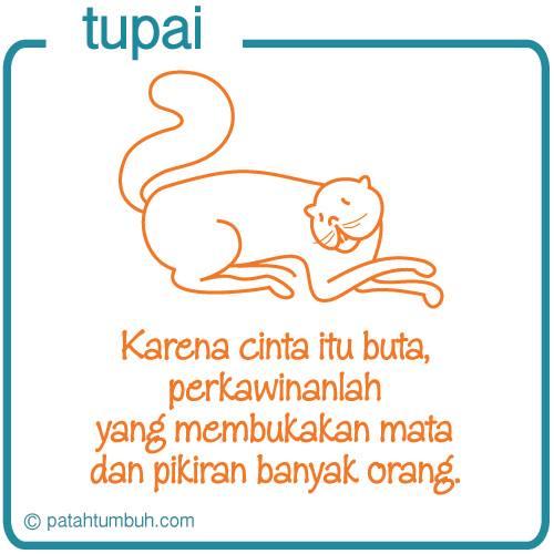 Cinta Tupai Buta, Mata Tupai Tidak Buta