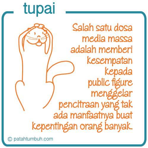 Tupai61