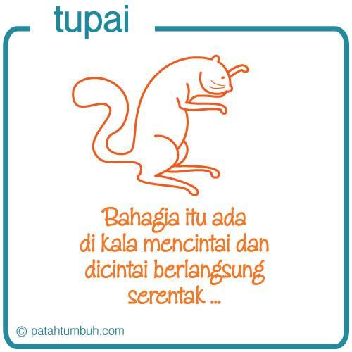 Tupai 116