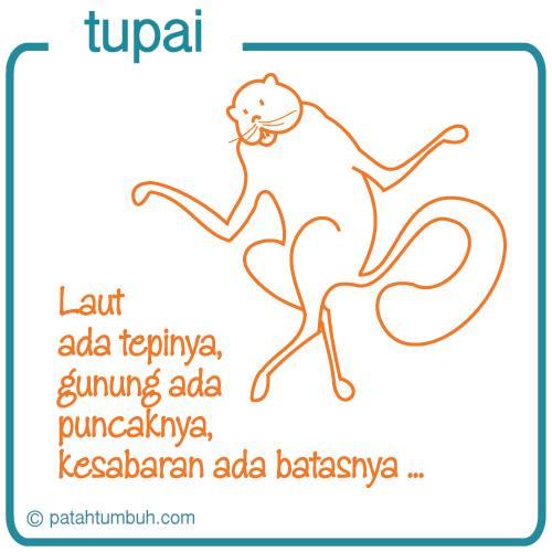 Tupai 106