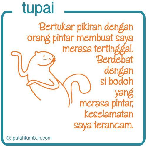 Tupai 34