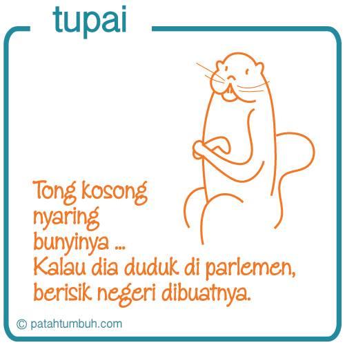 Tupai 42