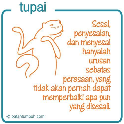 Tupai 89