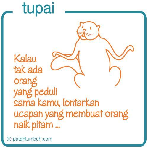 Tupai 39