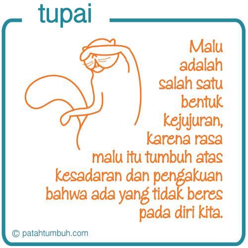 Tupai 83