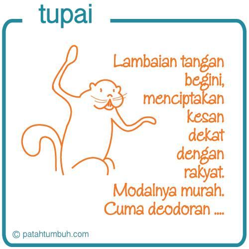 Tupai 58