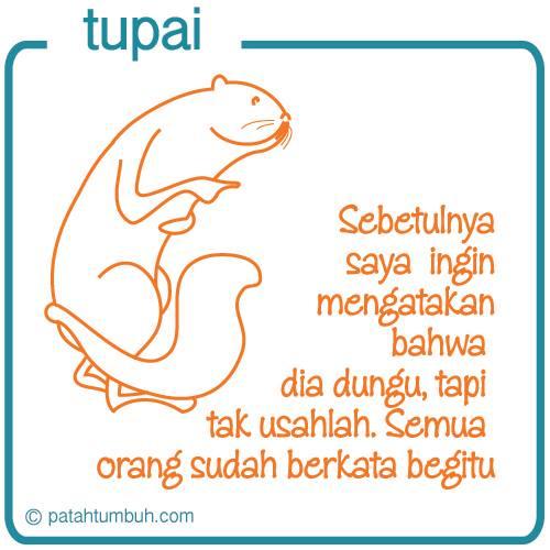 Tupai 47