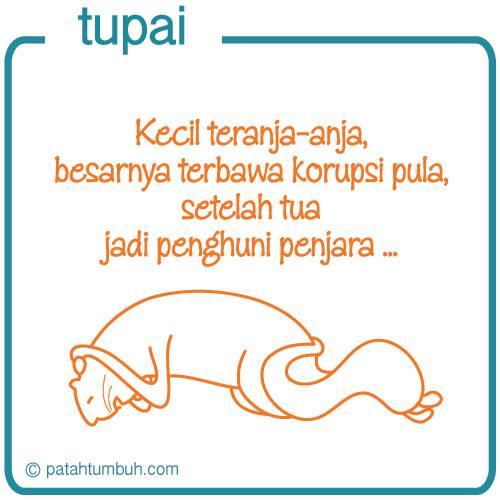 Tupai 73