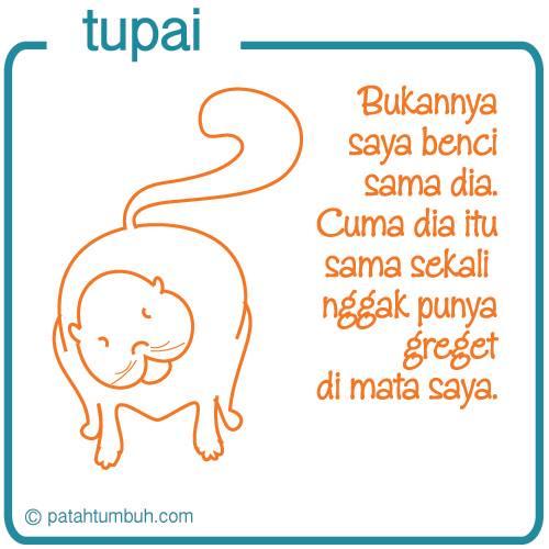 Tupai 17