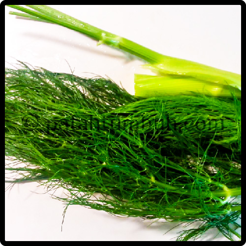 FINOCCHIO (FENNEL)