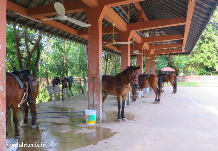 Jadi Turis di Kamboja: Bukan Hanya Kuil