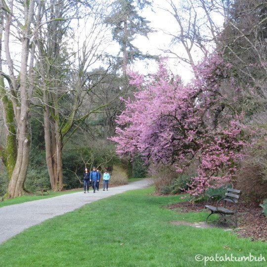 Jalan-jalan di Seattle : Tiga Taman, Satu Museum dan Makam Bruce Lee