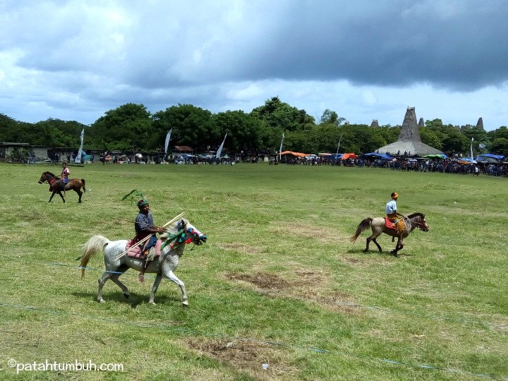 Rumah Budaya Sumba dan Pasola