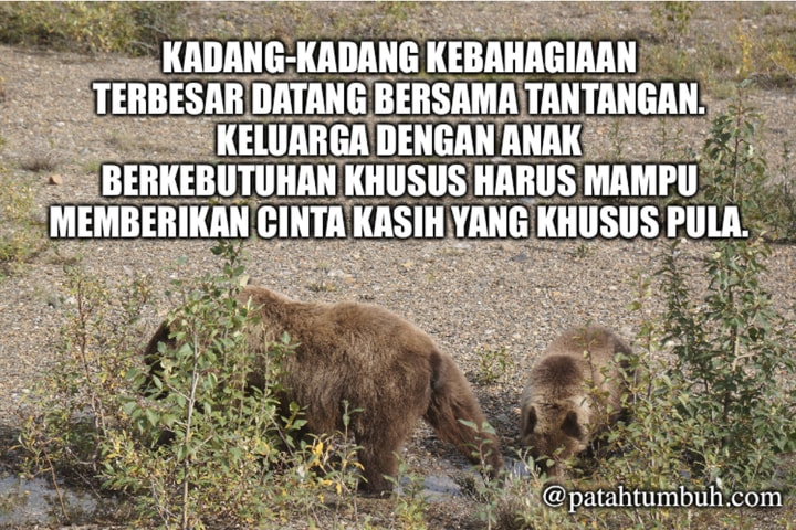 Anak Berkebutuhan Khusus