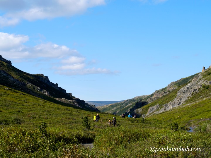 Travel Alaska dengan Recreational Vehicle – Denali (Savage River)