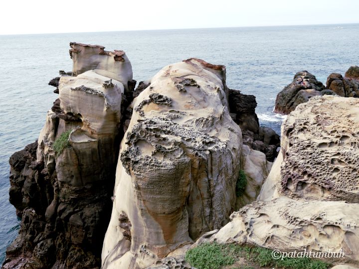 Berwisata di Taiwan Timur Laut