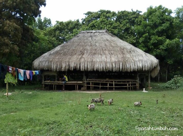 Rumah Adat dan Pemakaman di Sumba